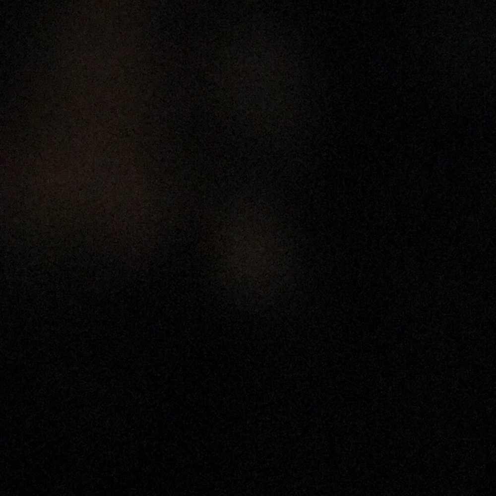 Meet your Posher, Jadyn